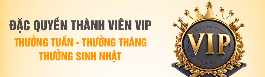 Hướng Dẫn Cá Cược Bóng Chuyền Quốc Tế Tại 79kg